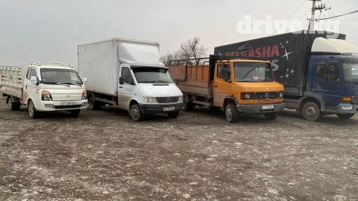 Портер, Перевозка скота, По региону, По городу, По стране, без грузчика