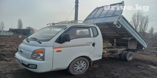 Портер, Вывоз строй мусора, По региону, По городу, без грузчика