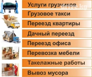 Бус, Переезд, перевозка мебели, с грузчиком