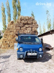 Портер, Вывоз бытового мусора, По городу, без грузчика