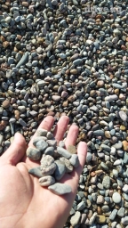 Самосвал, Доставка щебня, угля, песка, чернозема, отсев, По региону, По городу, По стране, без грузчика