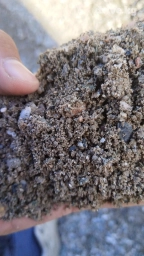 Самосвал, Доставка щебня, угля, песка, чернозема, отсев, По региону, По городу, По стране, без грузчика