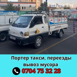 Портер, Вывоз строй мусора, с грузчиком