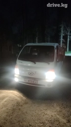 Портер, Вывоз строй мусора, По городу, с грузчиком