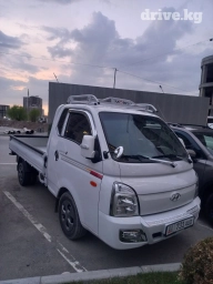 Портер, Вывоз строй мусора, По городу, По региону, с грузчиком