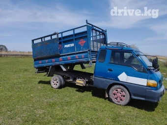 Портер, Вывоз строй мусора, По городу, с грузчиком