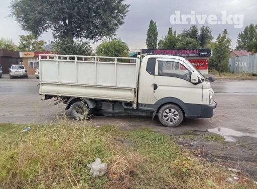 Портер, Вывоз строй мусора, По региону, По городу, с грузчиком
