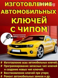 Изготовление систем автомобиля, с выездом