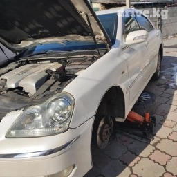 Без выезда