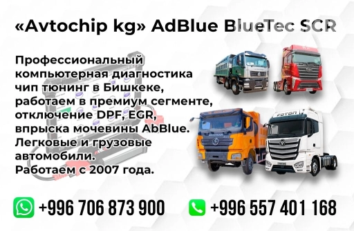 Компьютерная диагностика, с выездом