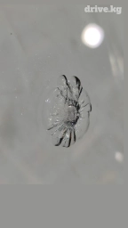 Клеим трещину на лобовом стекле автомобиля . склейка трещин и сколов