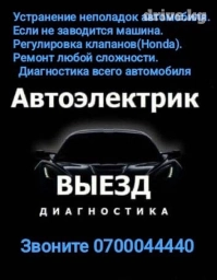 Промывка, чистка систем автомобиля, Регулировка, адаптация систем автомобиля, Профилактика систем автомобиля, с выездом