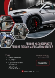 Промывка, чистка систем автомобиля, Замена ремней, Регулярный осмотр автомобиля, с выездом