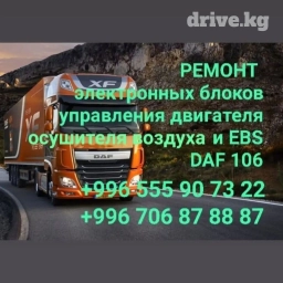 Компьютерная диагностика