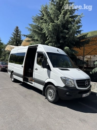 По региону, Аэропорт, По городу Бус | 18 мест