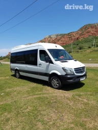 Международные перевозки Бус | 18 мест