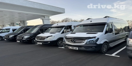 По региону Бус | 19 мест