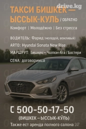 Иссык-Куль, Каракол, Тоо-Ашуу Такси, легковое авто | 4 мест