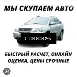 Полики Для салона Lexus