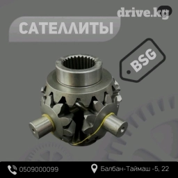 Сателлиты дифференциала BSG