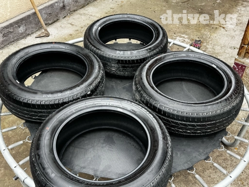 Продам M+S шины Nexen Roadian HTX RH5 для SUV. 225/60 R18. (новые)